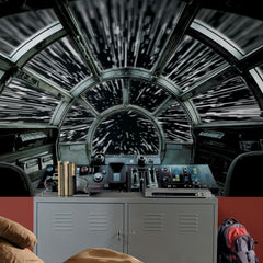 Star Wars Millennium Falcon Peel & Stick Wall Murals
