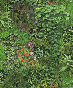 Living Wall Peel and Stick Wallpaper by WallPops