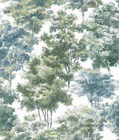 Old World Trees Peel and Stick Wallpaper by WallPops