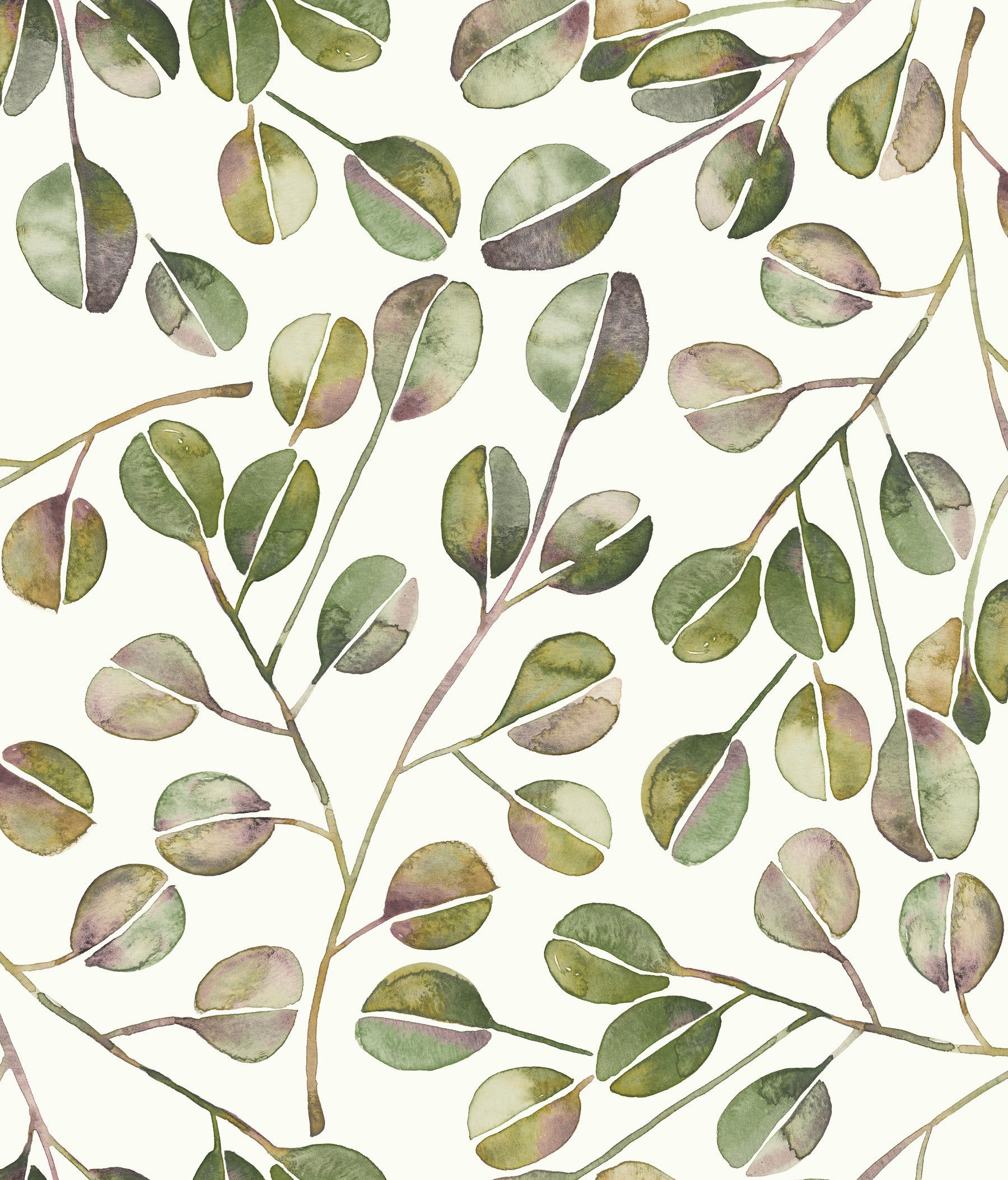 Cat Coquillette Eucalyptus Peel and Stick Wallpaper by WallPops