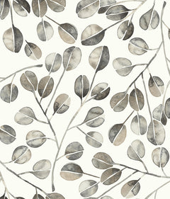 Cat Coquillette Eucalyptus Peel and Stick Wallpaper by WallPops