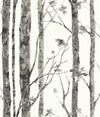 Trees Peel and Stick Wallpaper by WallPops