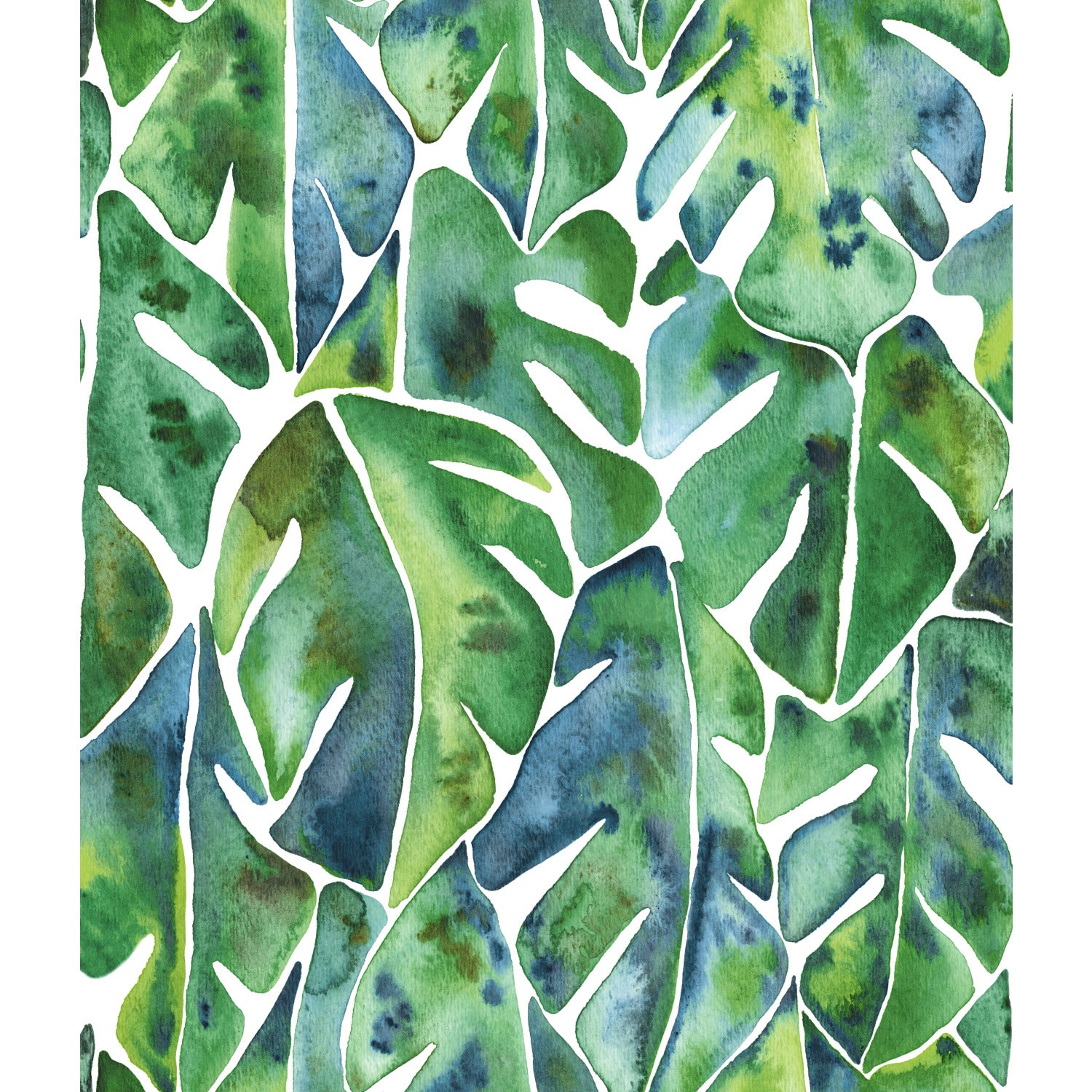 Cat Coquillette Philodendron Peel and Stick Wallpaper by WallPops