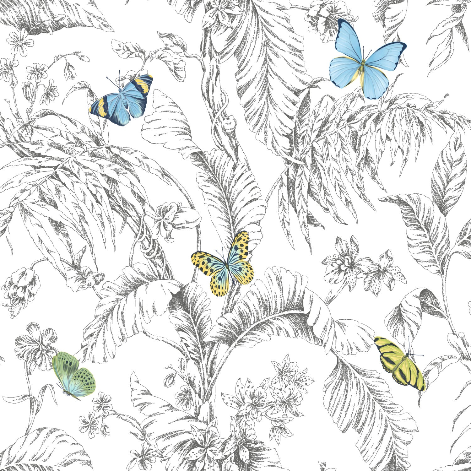 Butterfly Sketch Peel and Stick Wallpaper by WallPops