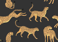 Cheetah Cheetah Peel and Stick Wallpaper by WallPops