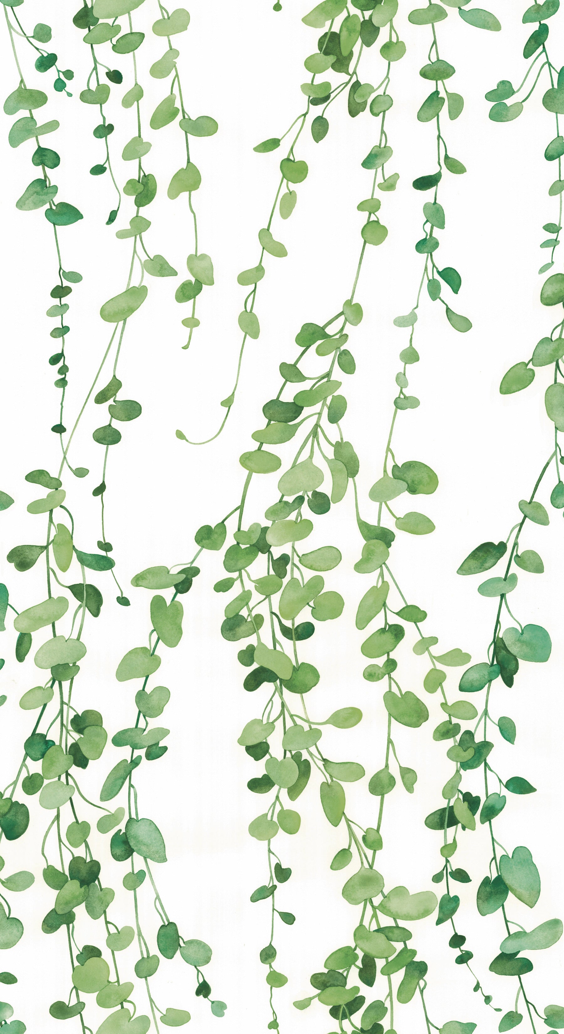 Hanging Watercolor Vines Peel and Stick Wallpaper by WallPops