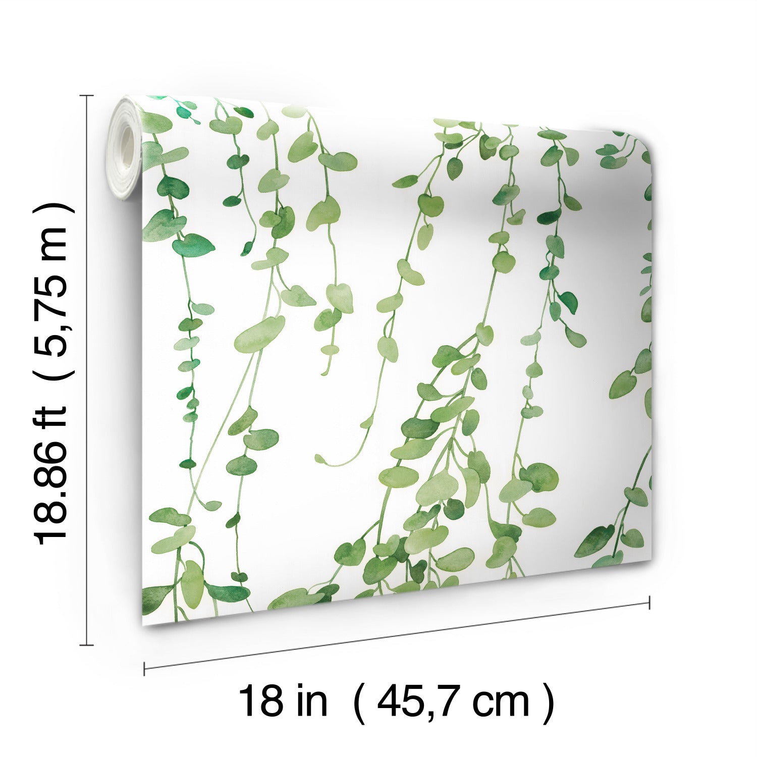 Hanging Watercolor Vines Peel and Stick Wallpaper - dimensions
