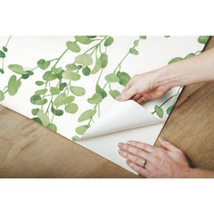 Hanging Watercolor Vines Peel and Stick Wallpaper - peel and stick application