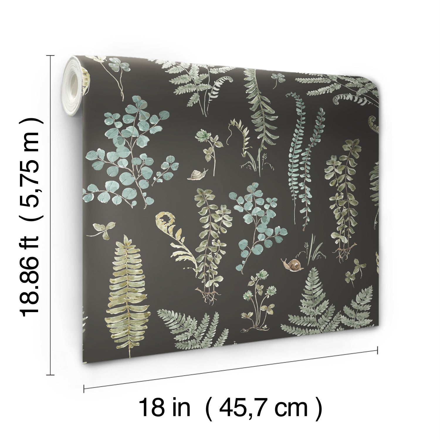 Fern Study P&S Wallpaper by WallPops