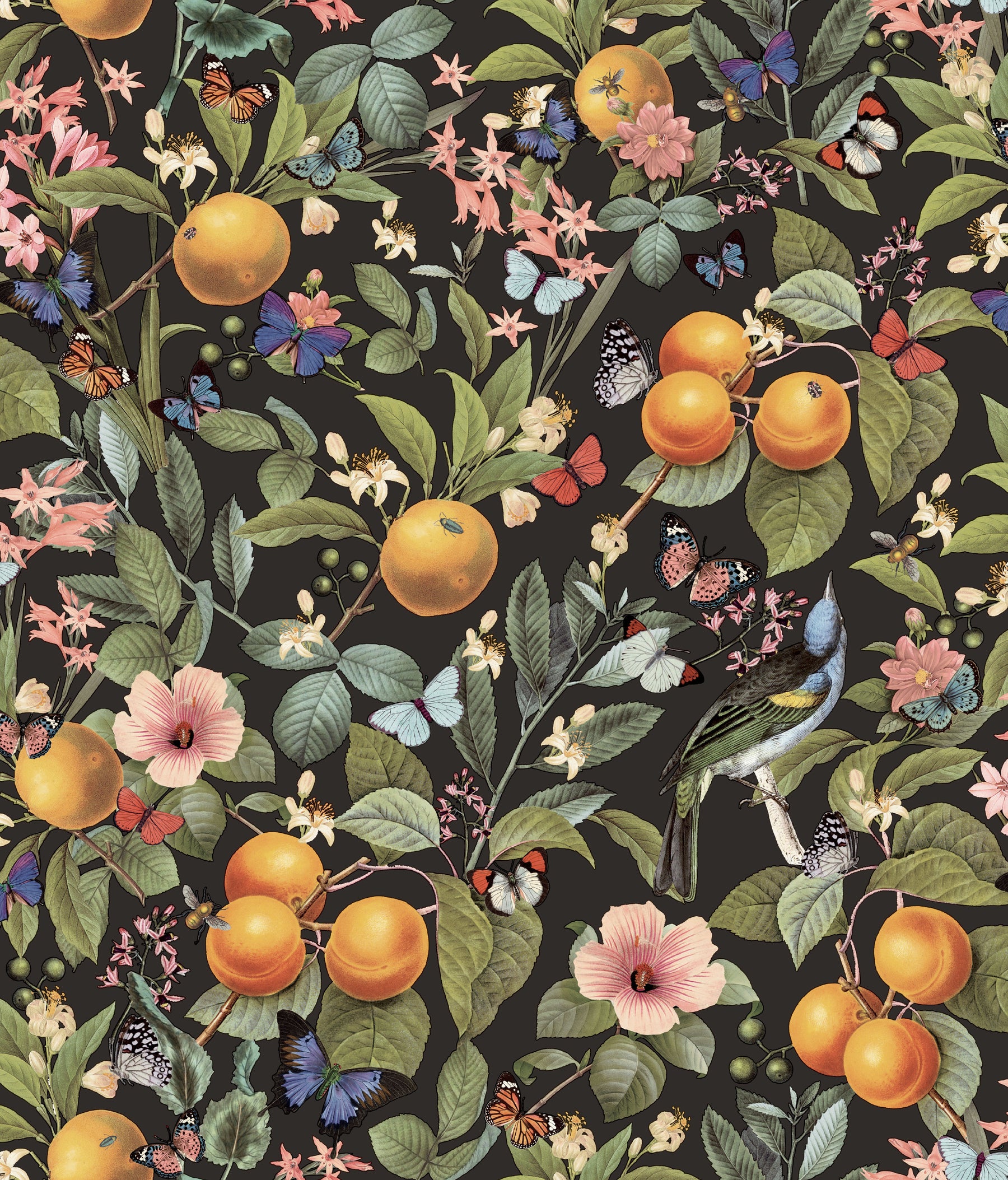 Citrus Peel and Stick Wallpaper by WallPops