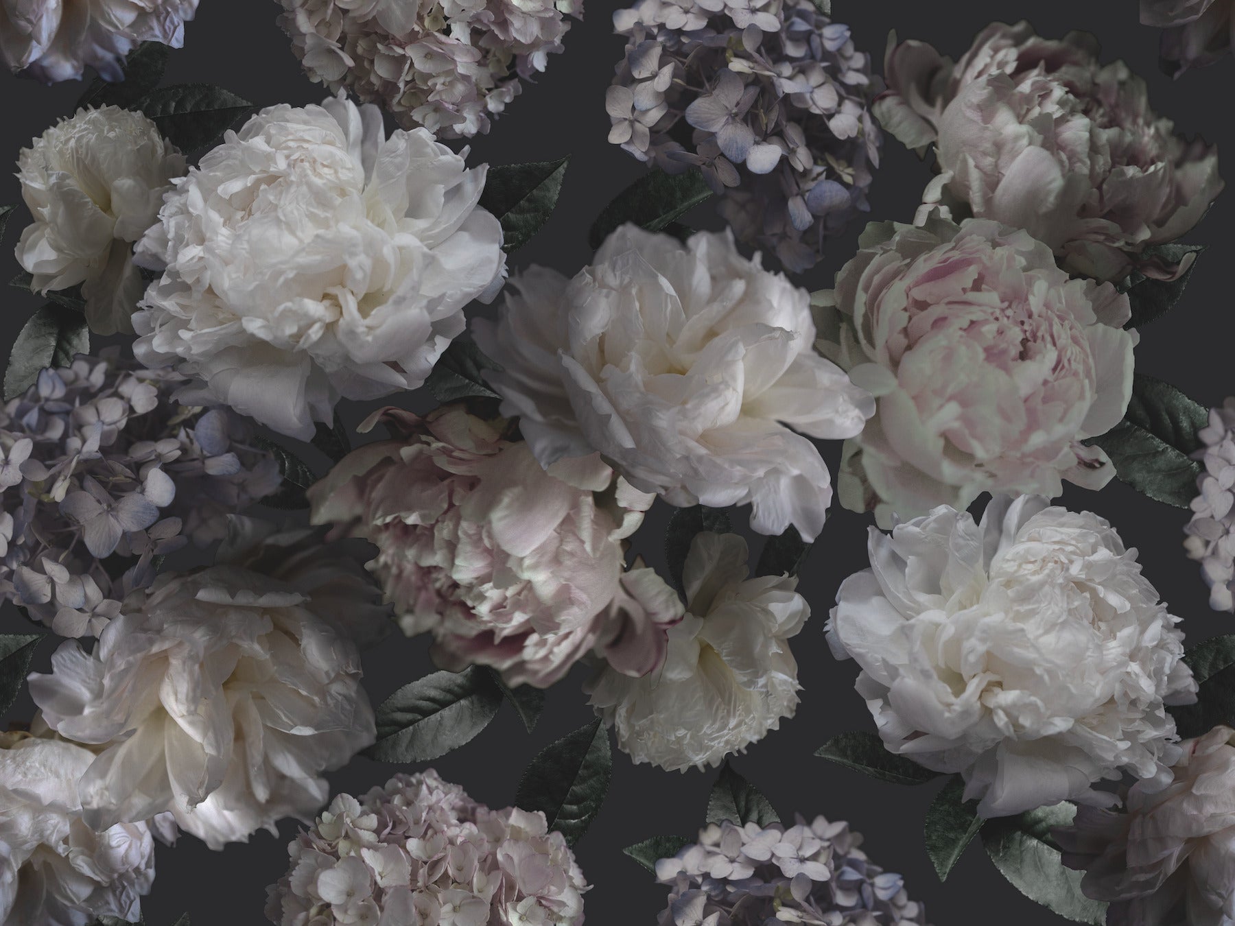 Moonlit Garden P&S Wall Murals by WallPops