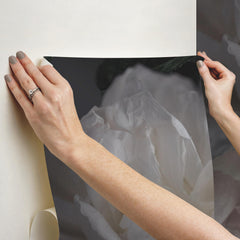 Moonlit Garden P&S Wall Murals - how to stick