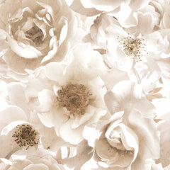 Floral P&S Wall Murals by WallPops