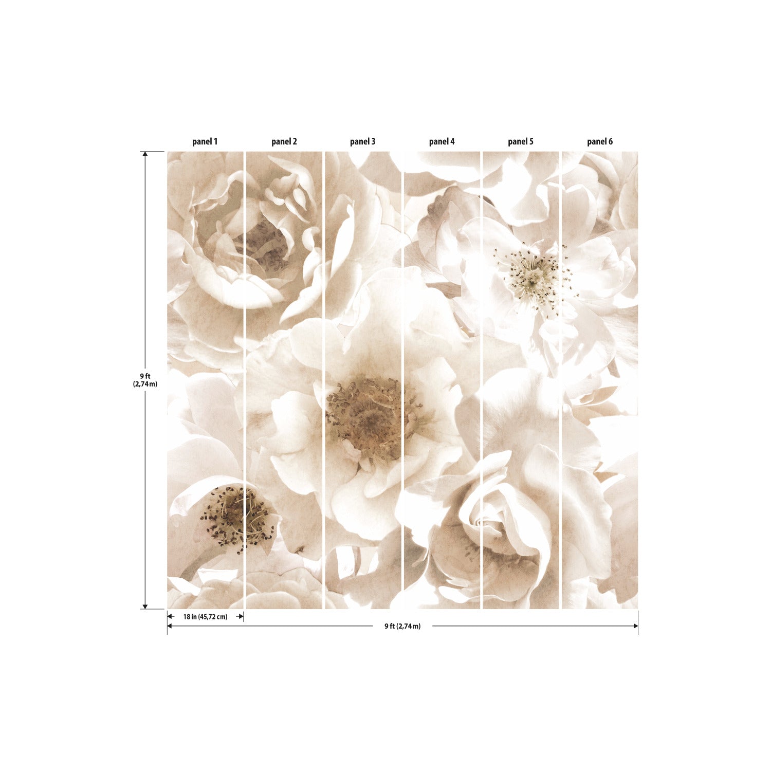 Floral P&S Wall Murals - dimensions