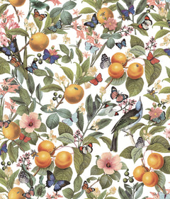 Citrus Peel and Stick Wallpaper by WallPops