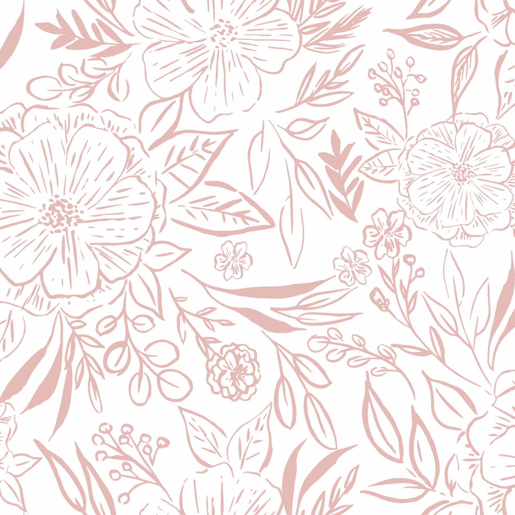Beth Schneider Floral Sketch Peel and Stick Wallpaper by WallPops
