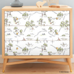 Winnie The Pooh 100 Acre Wood Map P&S Wallpaper in a room setting