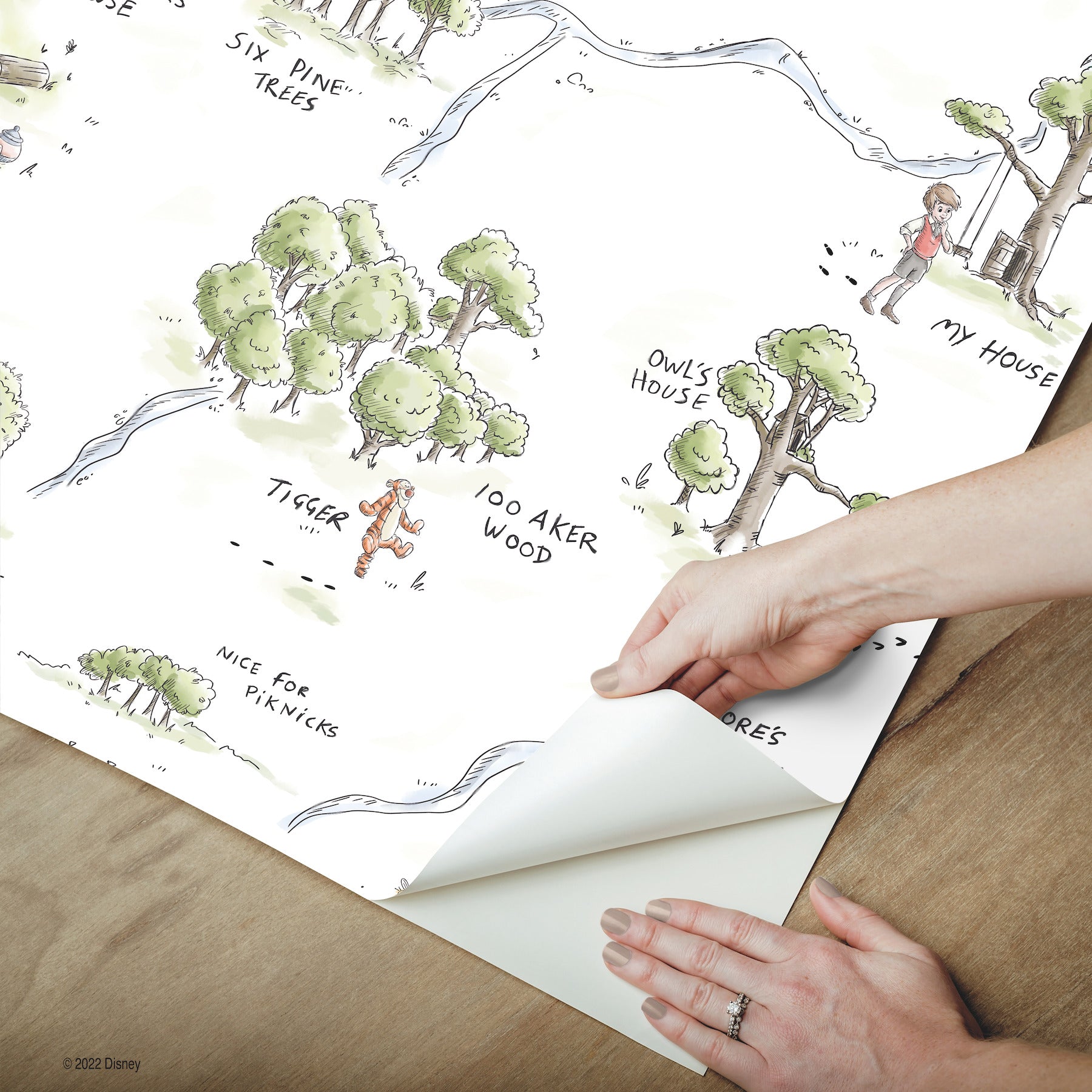 Winnie The Pooh 100 Acre Wood Map P&S Wallpaper - how to peel