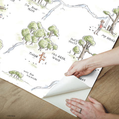 Winnie The Pooh 100 Acre Wood Map P&S Wallpaper - how to peel