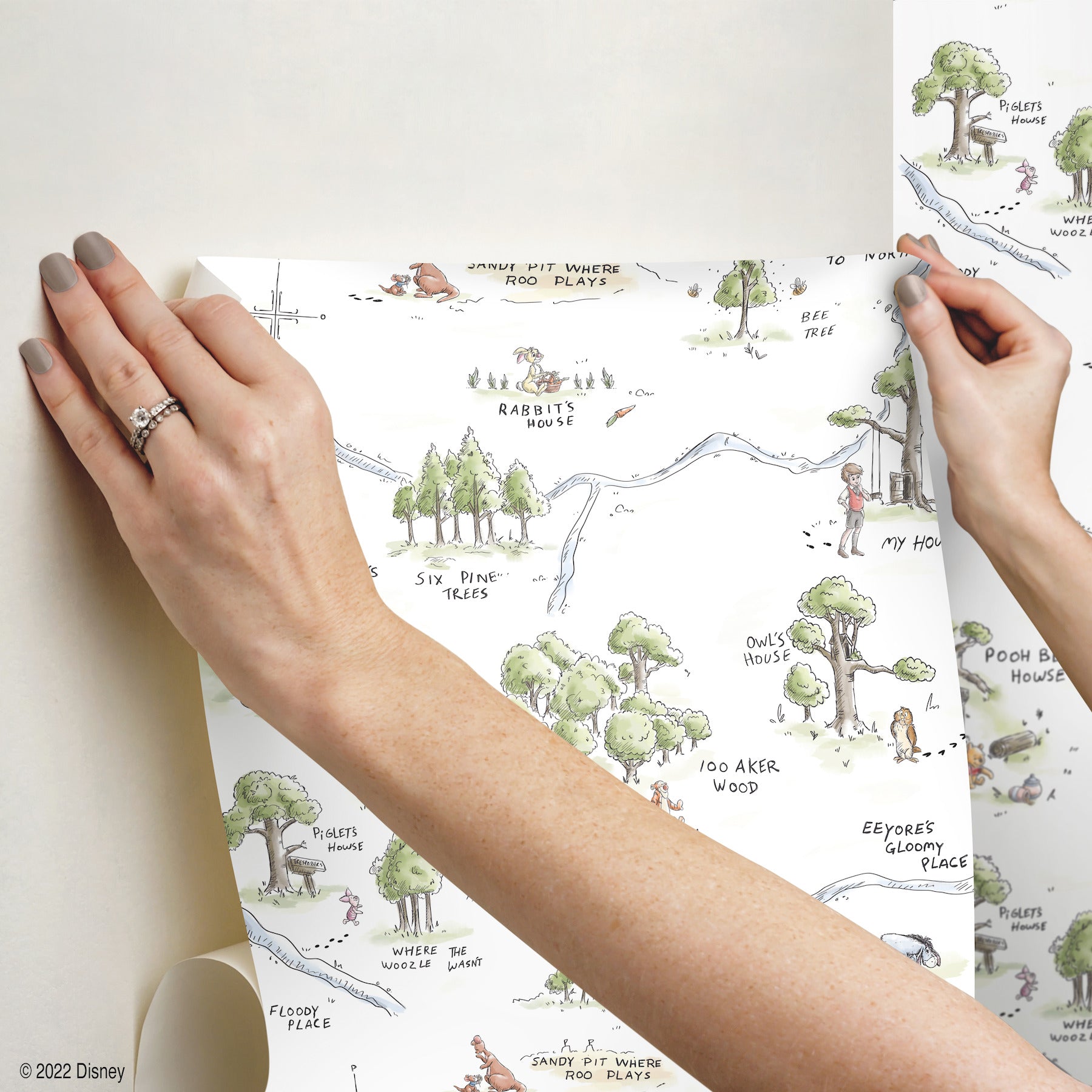Winnie The Pooh 100 Acre Wood Map P&S Wallpaper - how to stick
