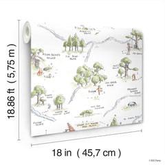 Winnie The Pooh 100 Acre Wood Map P&S Wallpaper - dimensions