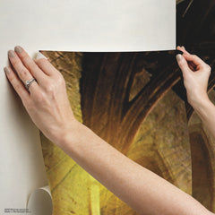 Harry Potter Great Hall P&S Wall Murals - how to stick