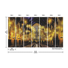 Harry Potter Great Hall P&S Wall Murals - dimensions