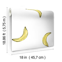 RMK12543RL wallpaper - dimensions