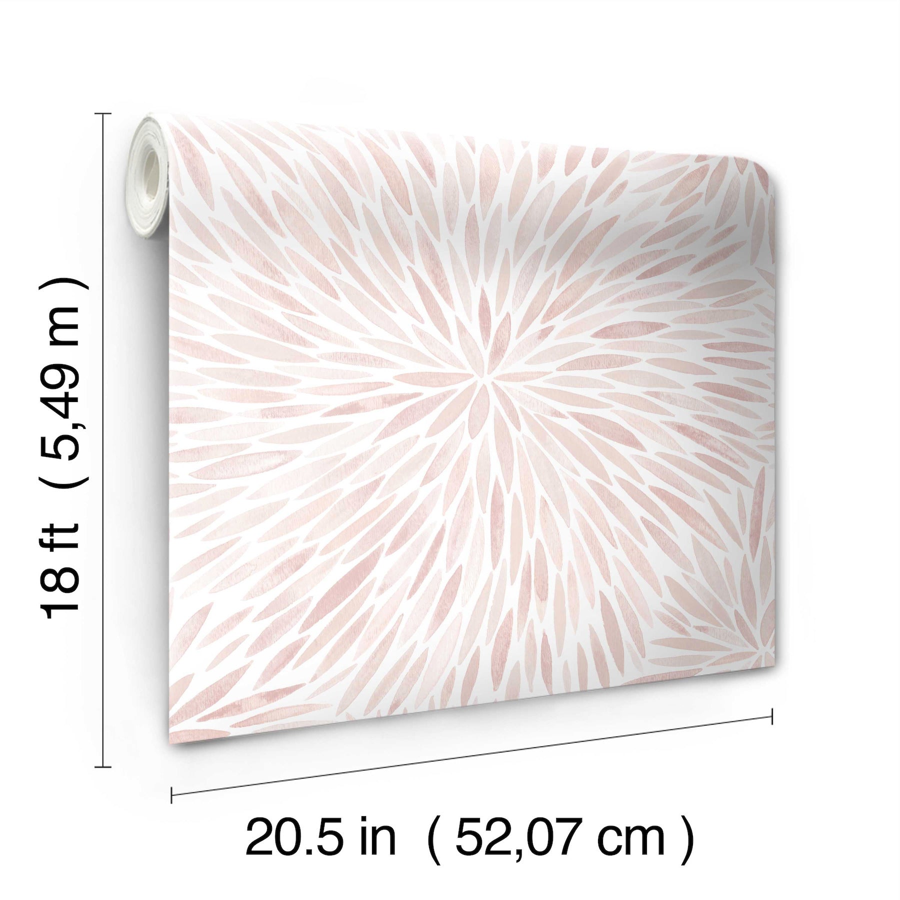 Cat Coquillette Burst Peel and Stick Wallpaper - dimensions