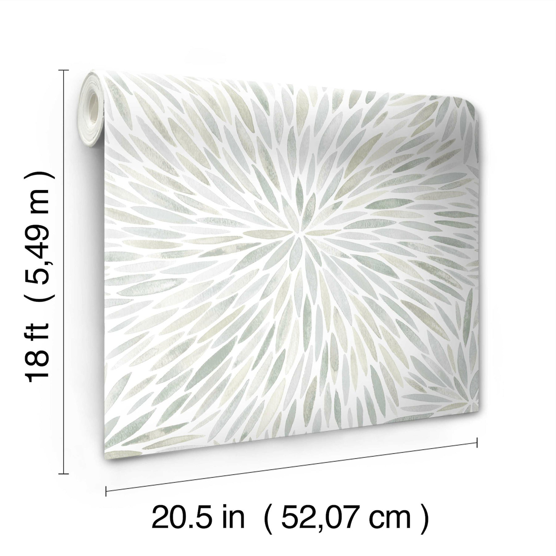 Cat Coquillette Burst Peel and Stick Wallpaper - dimensions