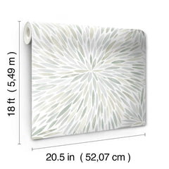 Cat Coquillette Burst Peel and Stick Wallpaper - dimensions