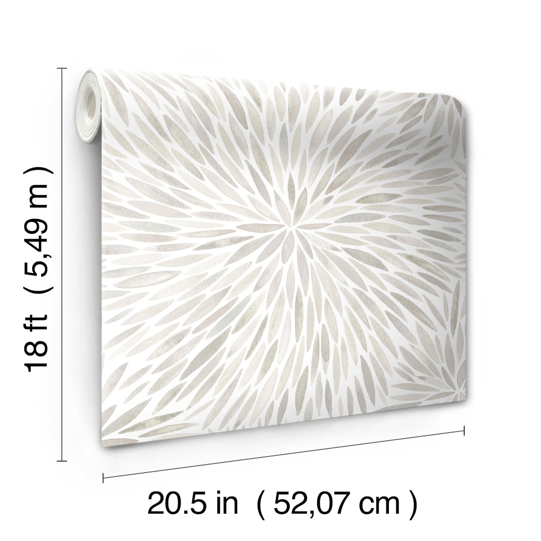 Cat Coquillette Burst Peel and Stick Wallpaper - dimensions