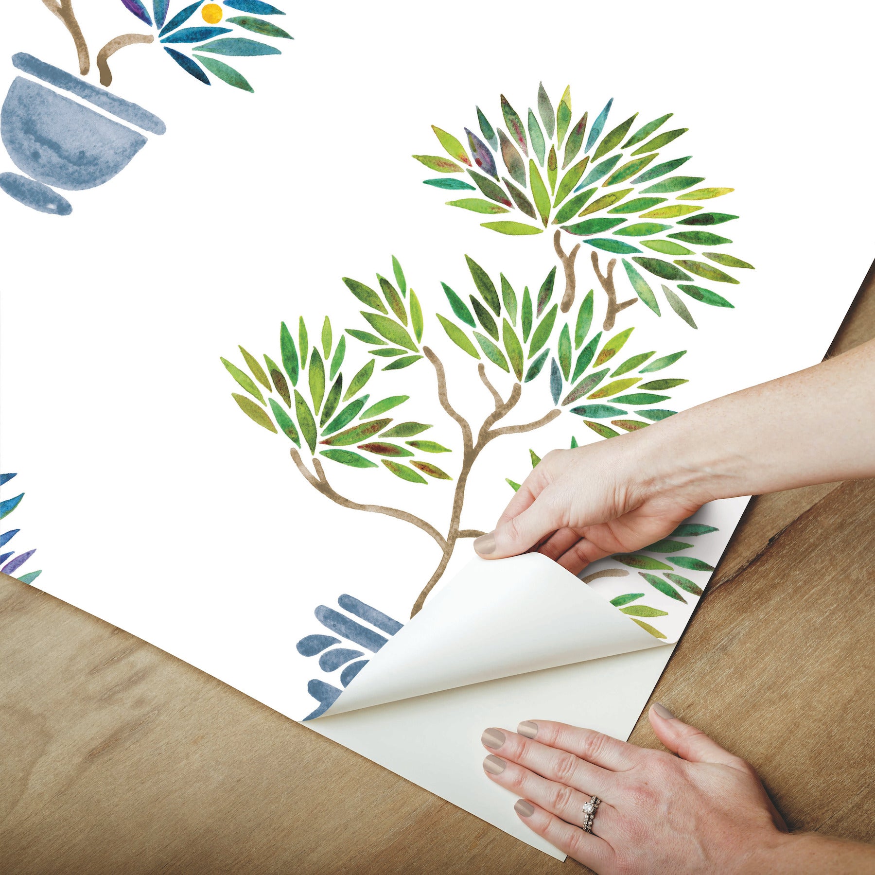 Cat Coquillette Bonsai Peel and Stick Wallpaper - how to peel