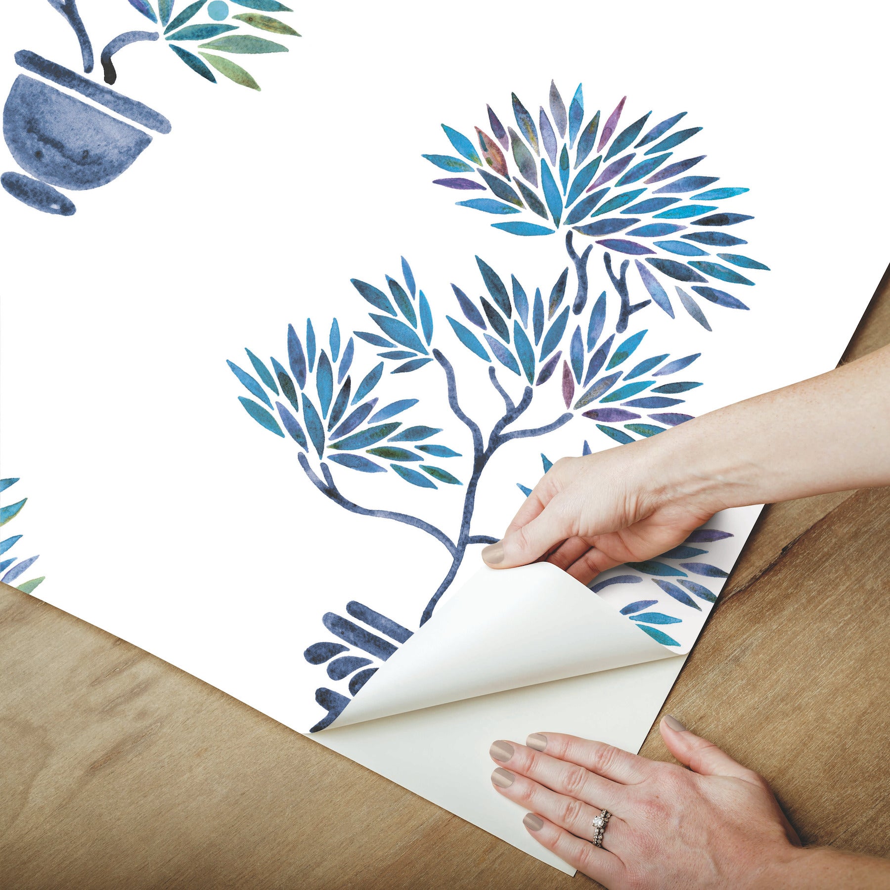 Cat Coquillette Bonsai P&S Wallpaper peel step