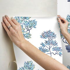 Cat Coquillette Bonsai P&S Wallpaper stick step
