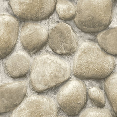 Yellowstone Root Rocks P&S Wallpaper by WallPops