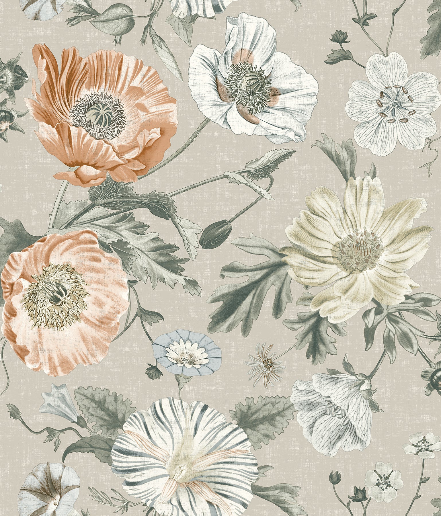 Vintage Poppy P&S Wallpaper by WallPops