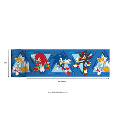 Sonic The Hedgehog Team Sonic Borders by WallPops