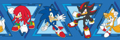 Sonic The Hedgehog Team Sonic Borders by WallPops