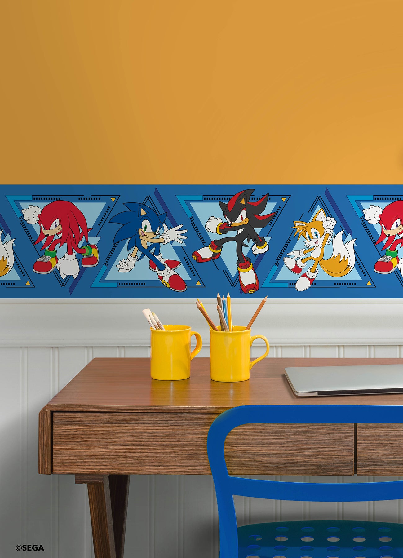 Sonic The Hedgehog Team Sonic Borders in a room setting