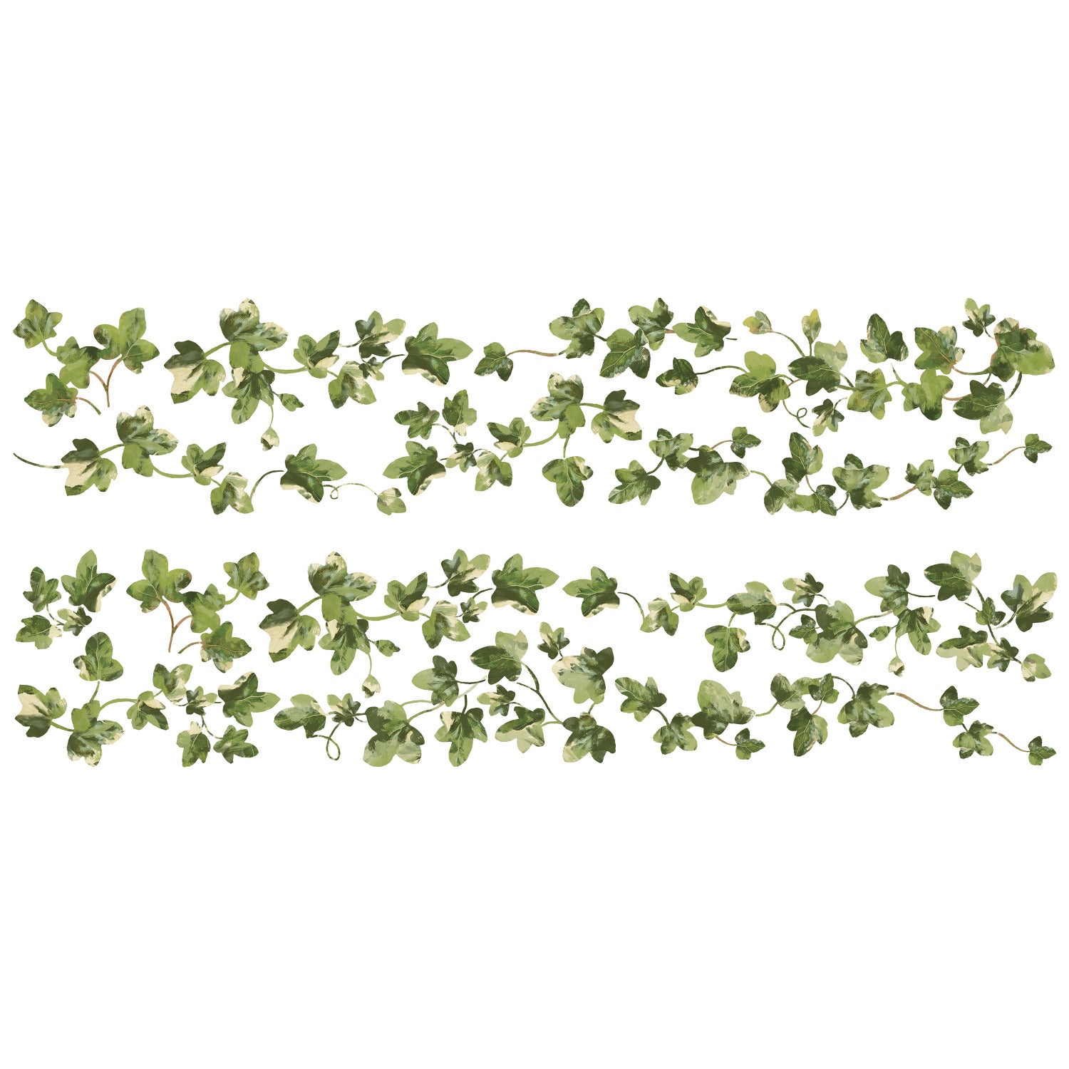 Painterly Ivy Wall Decals by WallPops