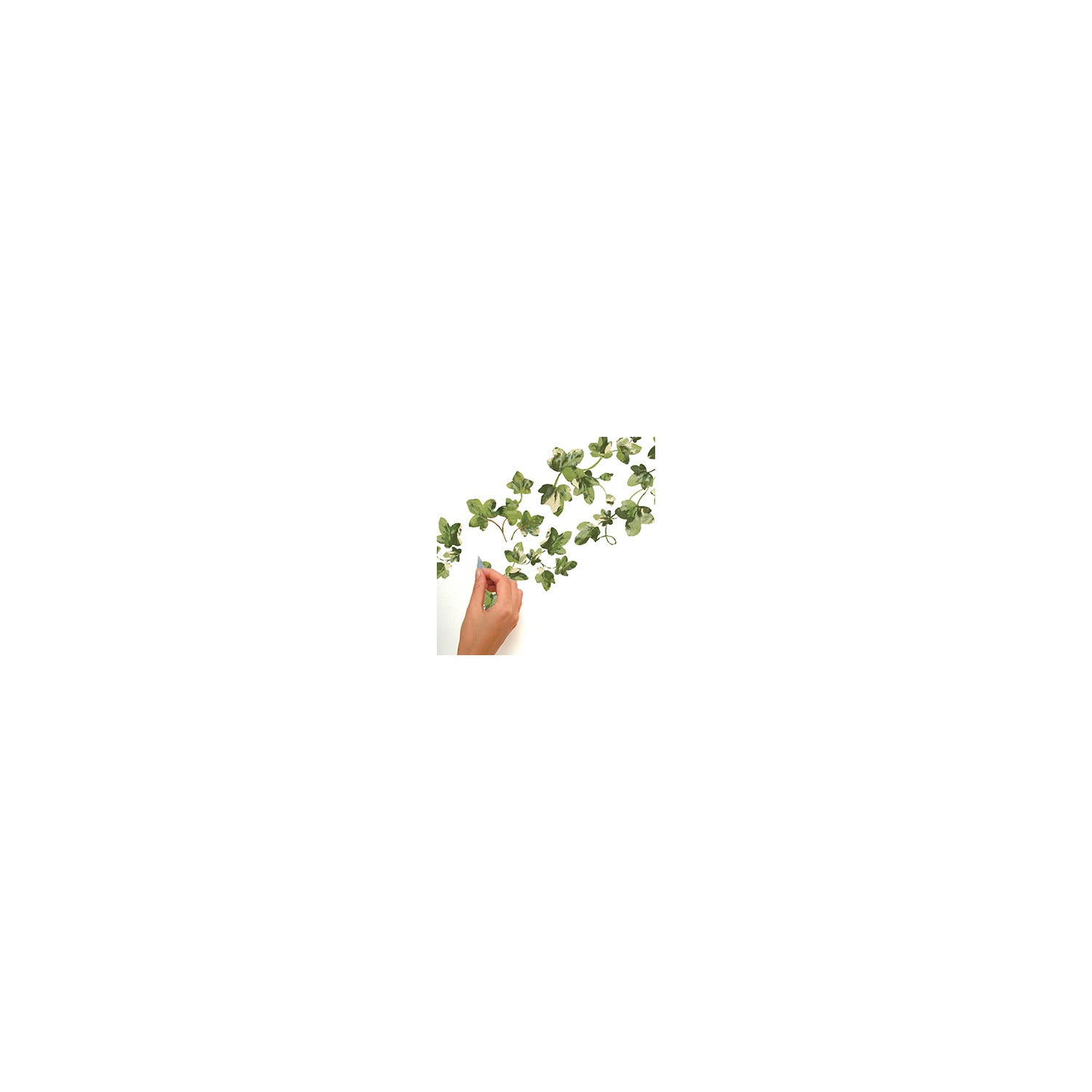 Painterly Ivy Wall Decals - how to stick