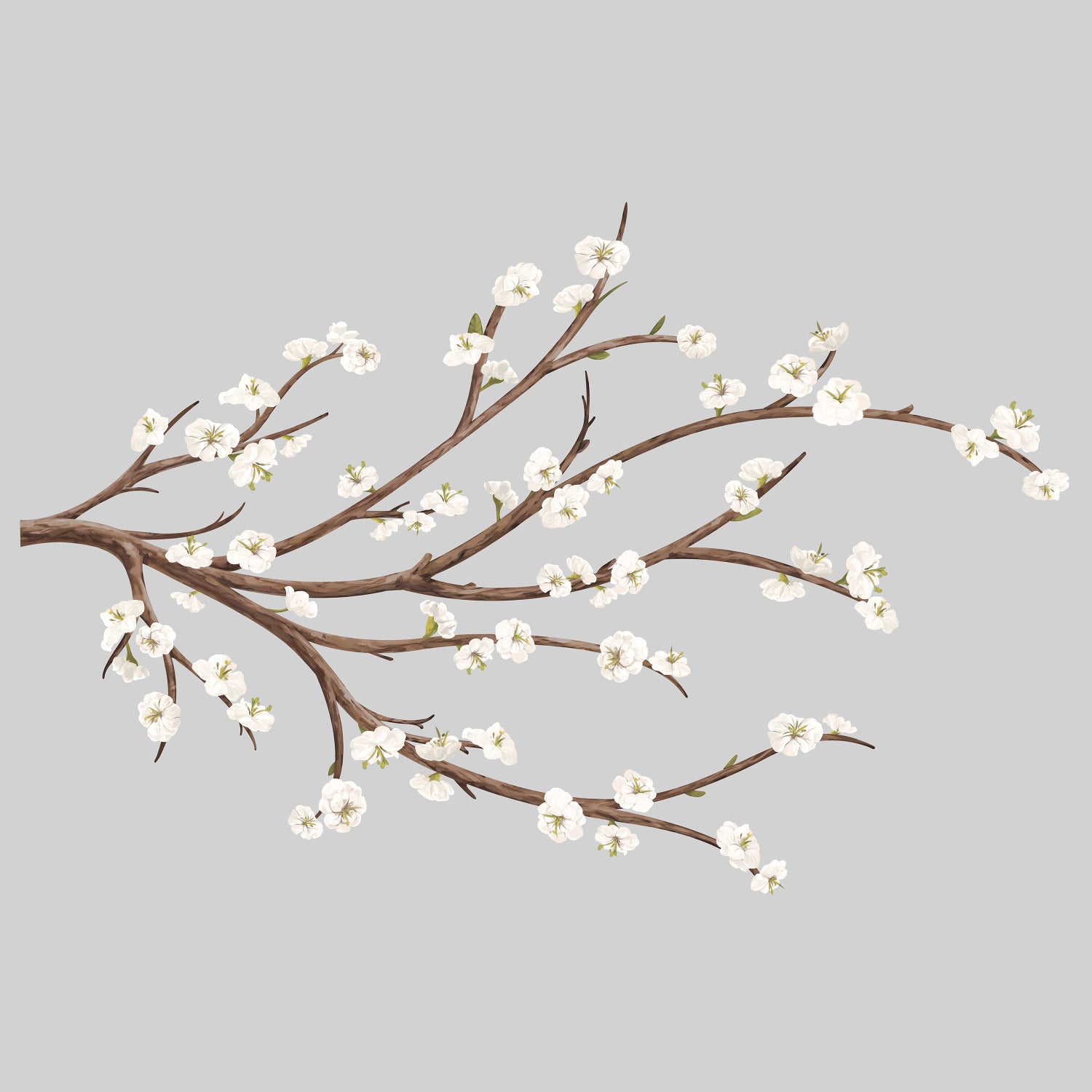 White Blossom Branch Giant with Flower Wall Decals by WallPops