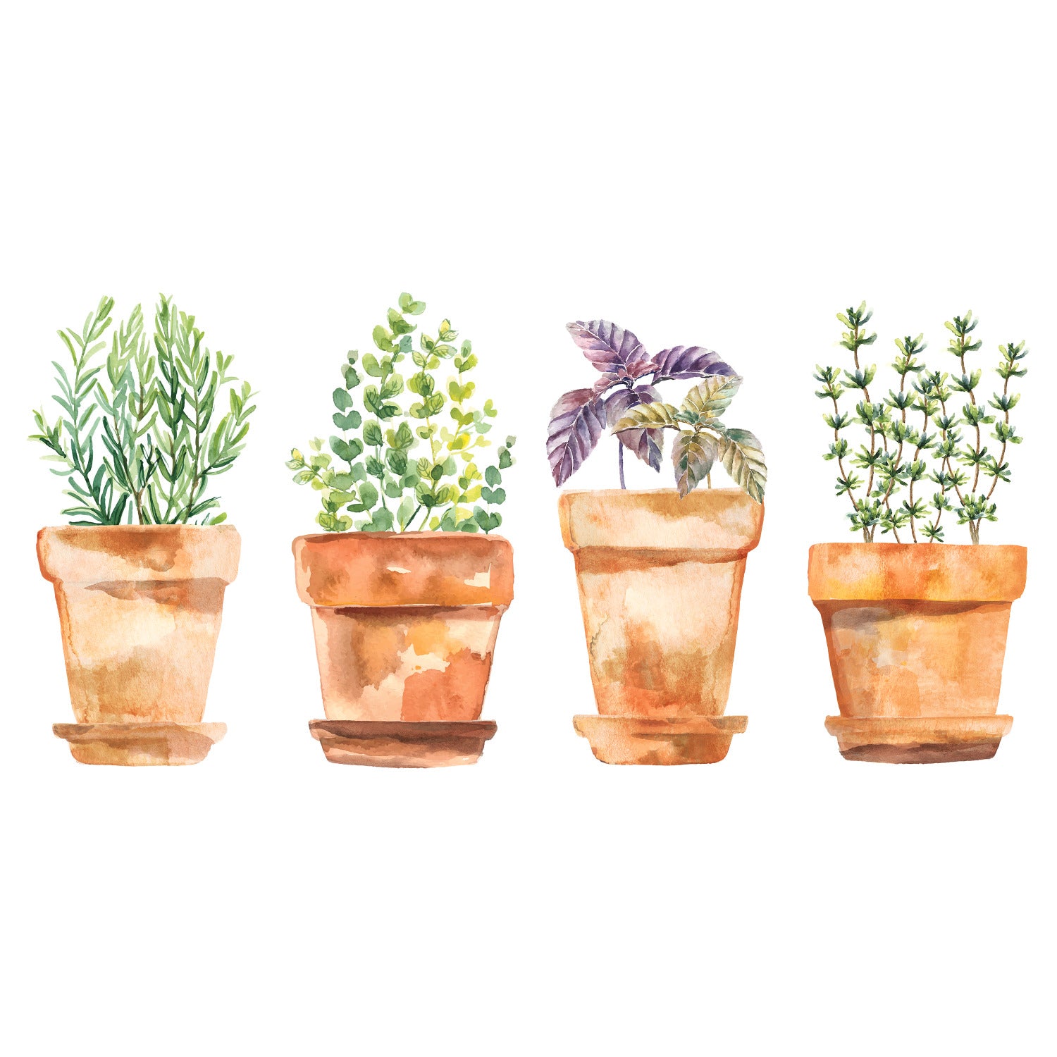 Watercolor Potted Herbs Wall Decals by WallPops