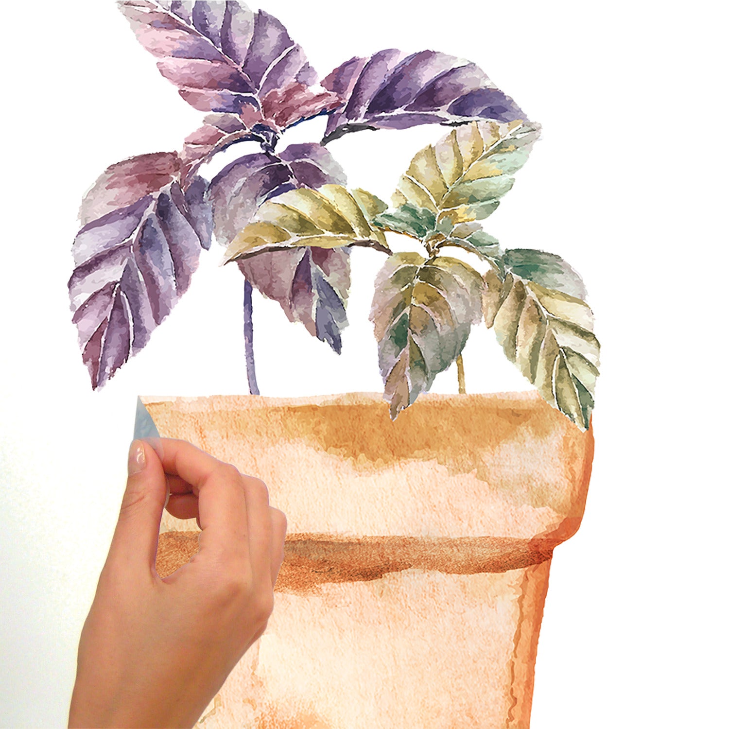 Watercolor Potted Herbs Wall Decals - how to peel