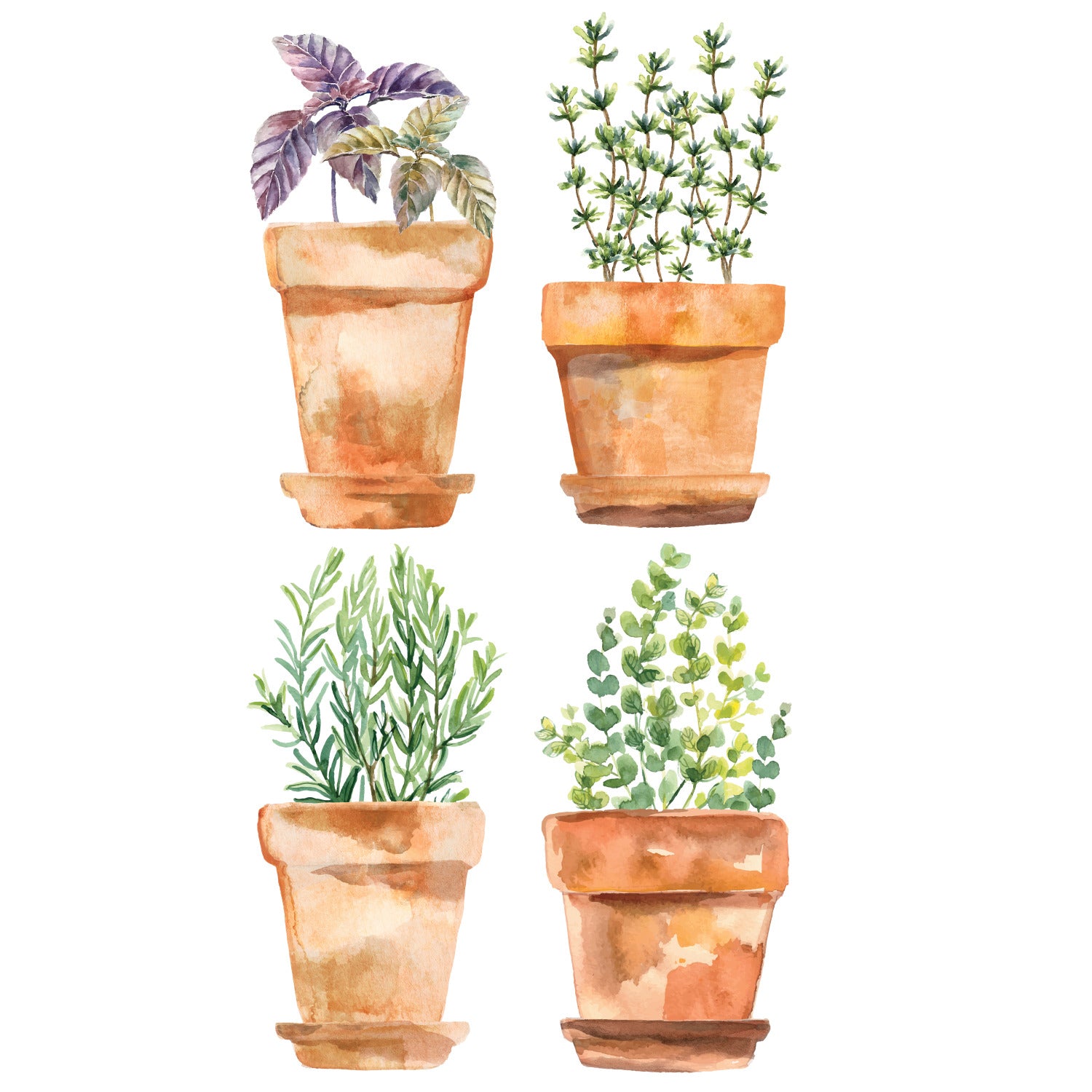 Watercolor Potted Herbs Wall Decals - assembled view