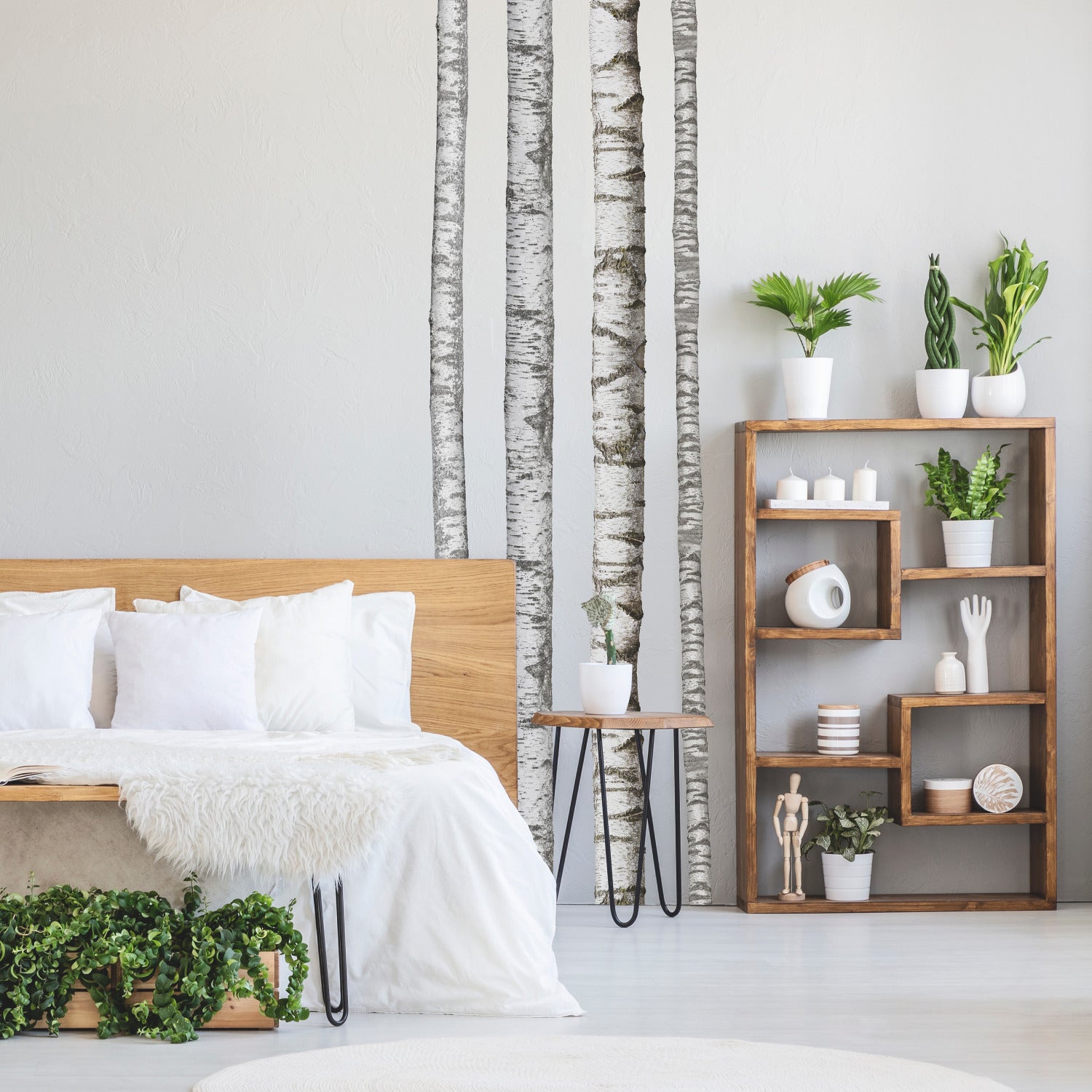 A modern bedroom features a wooden bed with crisp white bedding, a plush fur throw, potted plants, a wooden side table, and open shelving displaying both décor and additional greenery. The pale walls are adorned with the Realistic Birch Trees Peel and Stick Giant Wall Decals by WallPops, creating a serene birch tree mural that enhances the room’s natural ambiance. Subtle accents of distressed barn wood infuse rustic charm into this bright and minimal space.
