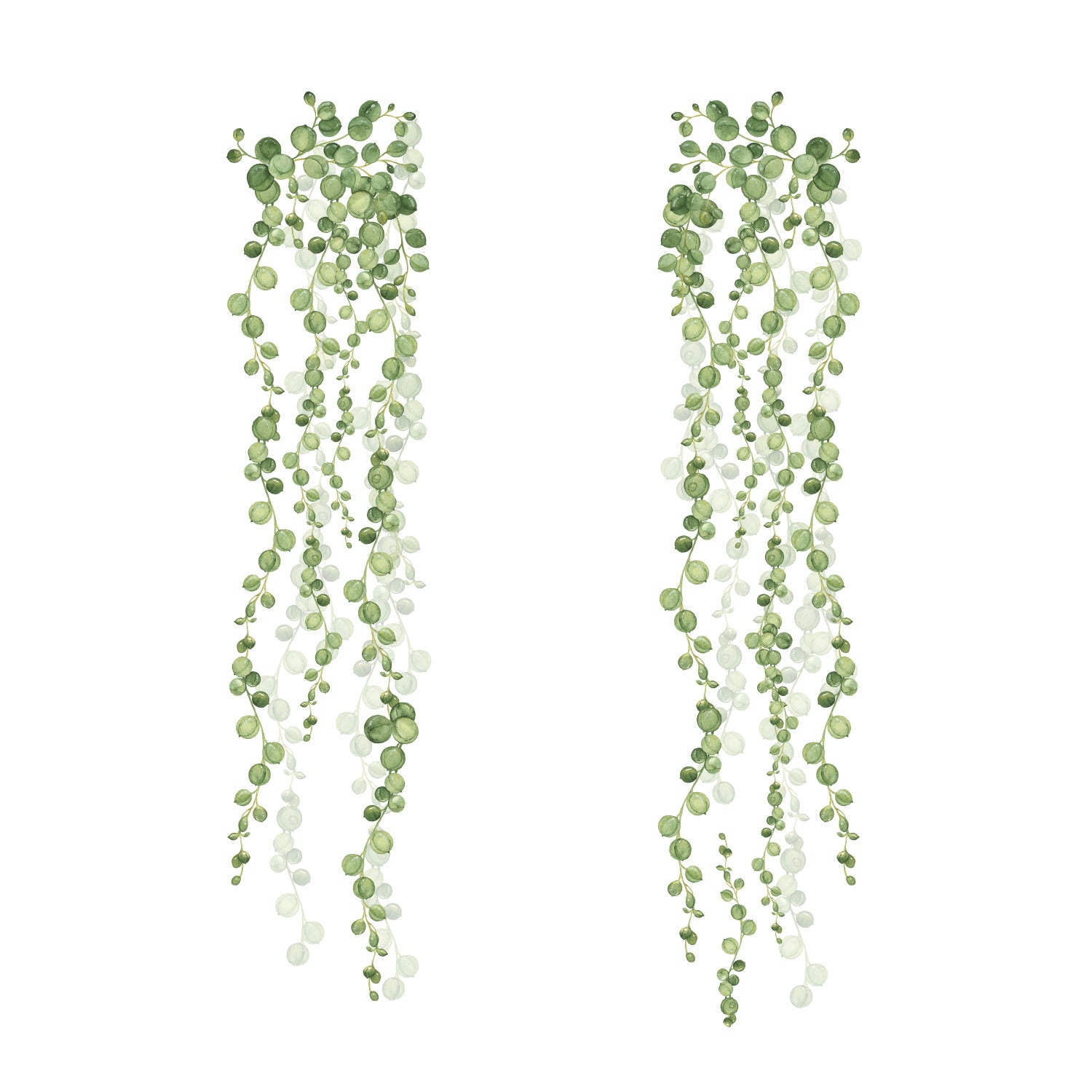 String Of Pearls Vine Wall Decals by WallPops