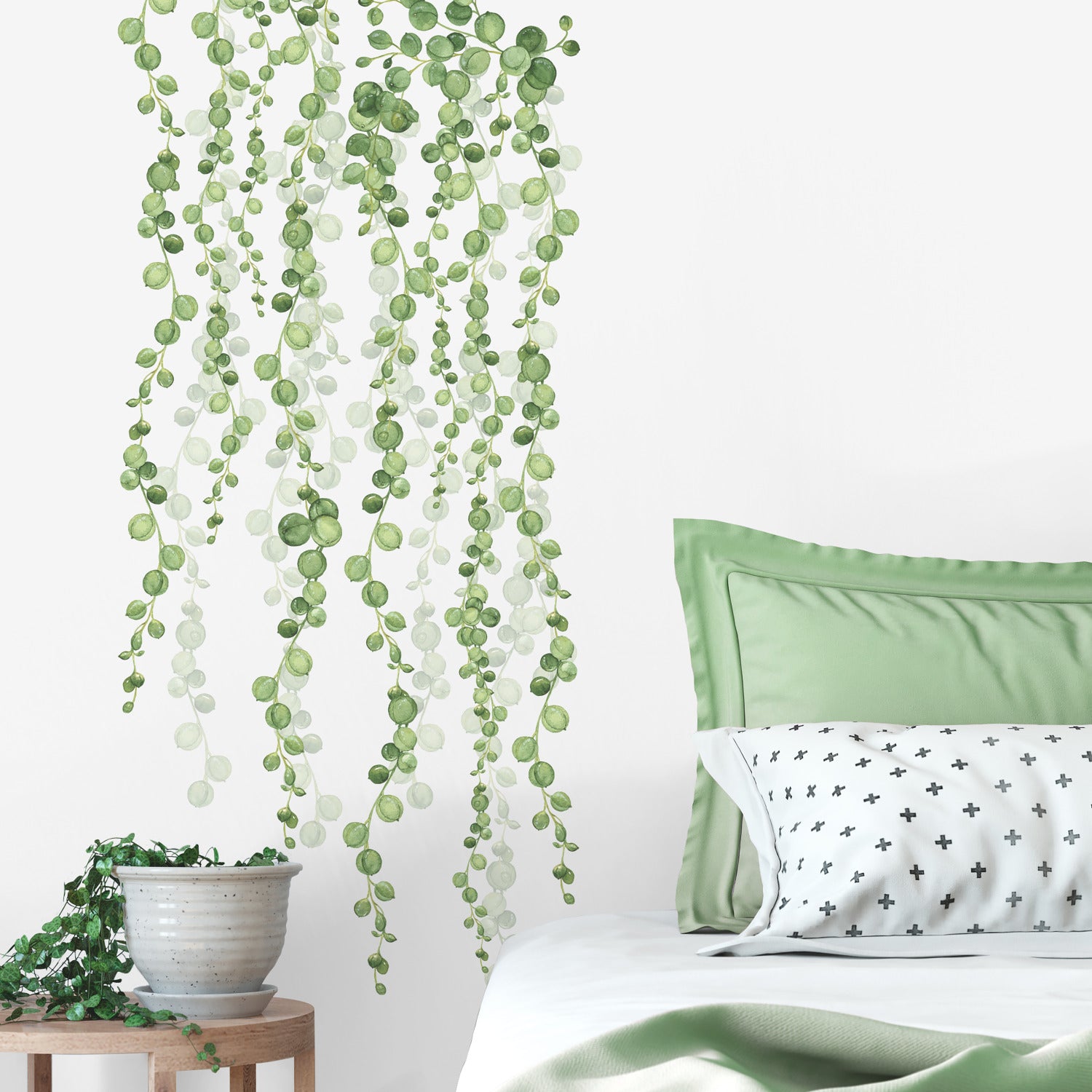 String Of Pearls Vine Wall Decals in a room setting