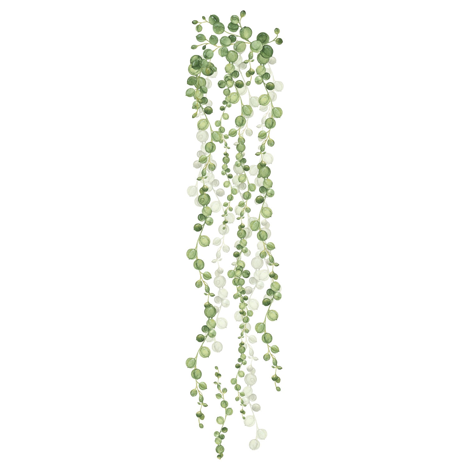 String Of Pearls Vine Wall Decals - panels